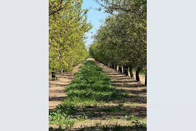 6009 Whitworth Road, Gustine, CA 95360 - Photo 2