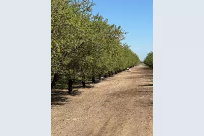 6009 Whitworth Road, Gustine, CA 95360 - Photo 6