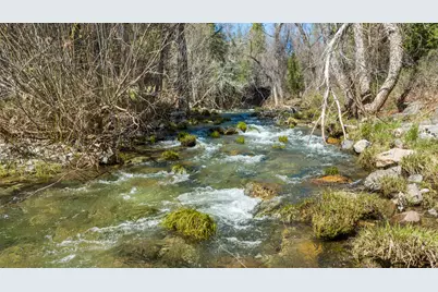 5603 Gold Mountain, Mountain Ranch, CA 95246 - Photo 52