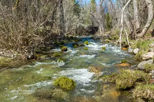 5603 Gold Mountain, Mountain Ranch, CA 95246 - Photo 52