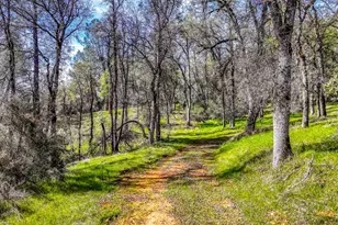 5603 Gold Mountain, Mountain Ranch, CA 95246 - Photo 68