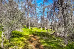 5603 Gold Mountain, Mountain Ranch, CA 95246 - Photo 70