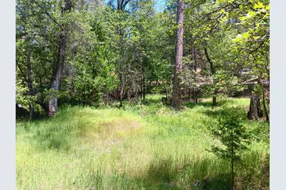 4121 Sierra Springs Drive, Pollock Pines, CA 95726 - Photo 4