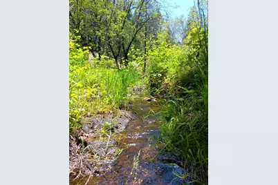 4121 Sierra Springs Drive, Pollock Pines, CA 95726 - Photo 8