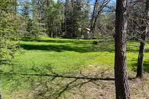 13769 Yuba Nevada, Dobbins, CA 95935 - Photo 4