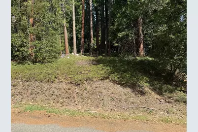0 Hillbilly Lane, Kyburz, CA 95720 - Photo 6