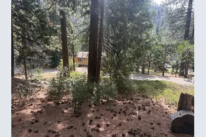 0 Hillbilly Lane, Kyburz, CA 95720 - Photo 8