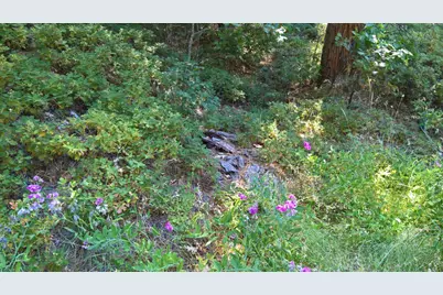 0 Hillbilly Lane, Kyburz, CA 95720 - Photo 12