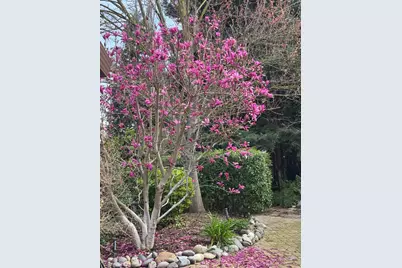 8772 Newry Court, Elk Grove, CA 95624 - Photo 94