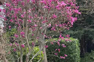 8772 Newry Ct, Elk Grove, CA 95624 - Photo 94