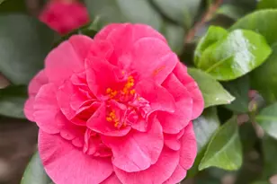 8772 Newry Ct, Elk Grove, CA 95624 - Photo 96