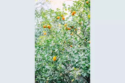 7530 Rasmussen Road, Loomis, CA 95650 - Photo 76