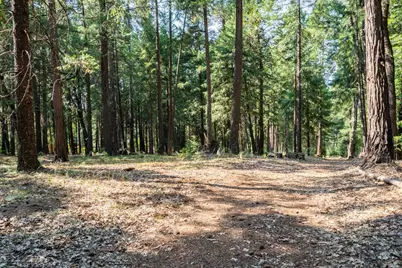 13518 Quaker Hill Cross Road, Nevada City, CA 95959 - Photo 18