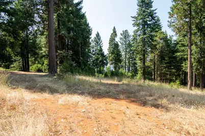 13518 Quaker Hill Cross Road, Nevada City, CA 95959 - Photo 12