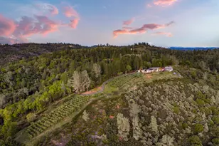 984 Crestview Dr, Murphys, CA 95247 - Photo 2