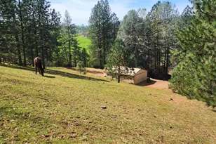 2410 Willow Creek Ct, Cool, CA 95614 - Photo 16