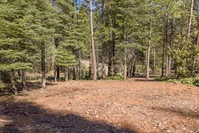 0 1781 Airacobra Avenue, Arnold, CA 95223 - Photo 4