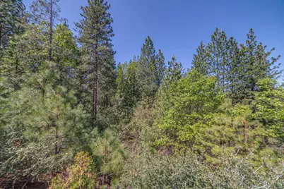 241 Red Apple Drive, Murphys, CA 95247 - Photo 14