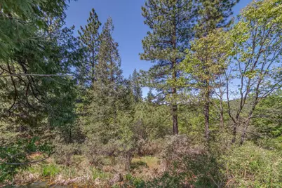 241 Red Apple Drive, Murphys, CA 95247 - Photo 16