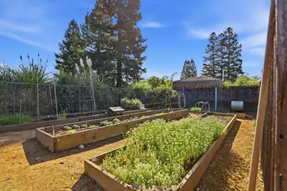 5354 Angelina Avenue, Carmichael, CA 95608 - Photo 34