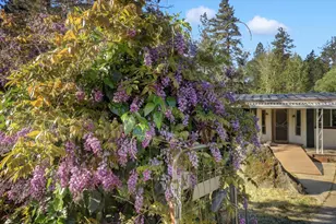 14939 Stagecoach Way, Rough and Ready, CA 95975 - Photo 58