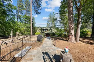 15250 Mitchell Mine Rd, Pine Grove, CA 95665 - Photo 48