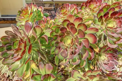 19355 Santa Maria Avenue, Castro Valley, CA 94546 - Photo 68