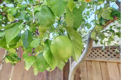 19355 Santa Maria Avenue, Castro Valley, CA 94546 - Photo 72