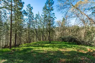 1535 Whispering Pines Dr, Meadow Vista, CA 95722 - Photo 94