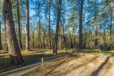 1535 Whispering Pines Drive, Meadow Vista, CA 95722 - Photo 82