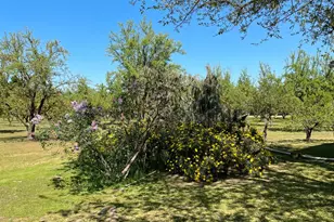 17576 E State Hwy 120, Ripon, CA 95366 - Photo 4