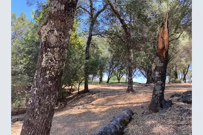 11665 Redwing Court, Penn Valley, CA 95946 - Photo 4