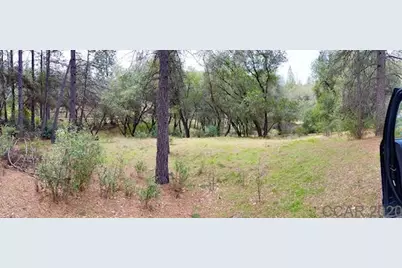 1621 Coyote Drive, Murphys, CA 95247 - Photo 12