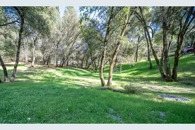 1621 Coyote Drive, Murphys, CA 95247 - Photo 1