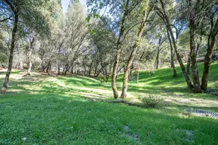 1621 Coyote Dr, Murphys, CA 95247 - Photo 1