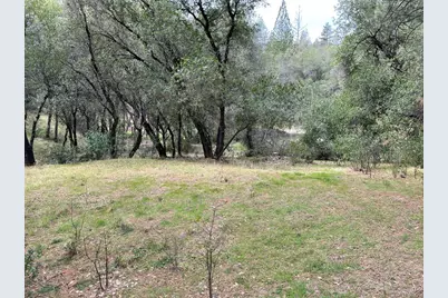 1621 Coyote Drive, Murphys, CA 95247 - Photo 10