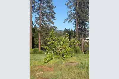 5448 Pentz Road, Paradise, CA 95969 - Photo 4