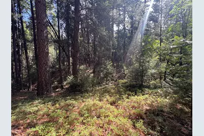 5483 Poor Mans Way, Wilseyville, CA 95257 - Photo 4