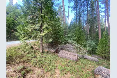 5483 Poor Mans Way, Wilseyville, CA 95257 - Photo 6