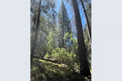 5483 Poor Mans Way, Wilseyville, CA 95257 - Photo 8
