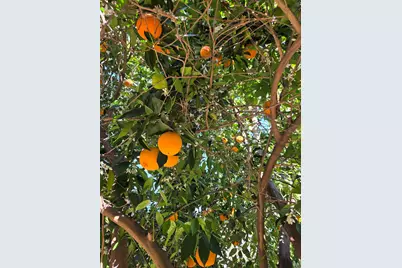 2100 Farnsworth Way, Rancho Cordova, CA 95670 - Photo 60