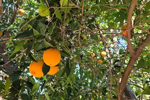 2100 Farnsworth Way, Rancho Cordova, CA 95670 - Photo 60