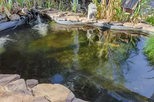 748 Swallowview Ct, Lincoln, CA 95648 - Photo 44