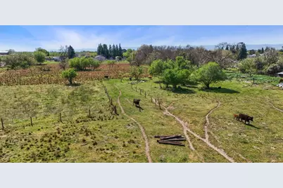 21398 Oleander Avenue, Manteca, CA 95337 - Photo 30