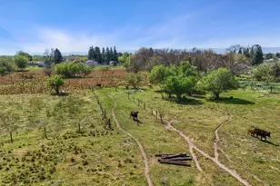 21398 Oleander Ave, Manteca, CA 95337 - Photo 30