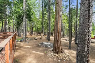 3894 Ottawa Dr, Camp Connell, CA 95223 - Photo 46