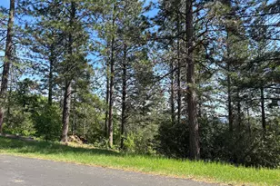 4135 Ampezo Pl, Foresthill, CA 95631 - Photo 1