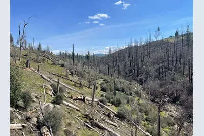 7602 Old Emigrant Trail W, Mountain Ranch, CA 95246 - Photo 36