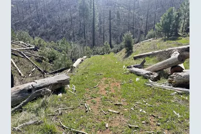 7602 Old Emigrant Trail W, Mountain Ranch, CA 95246 - Photo 38