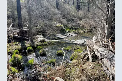 7602 Old Emigrant Trail W, Mountain Ranch, CA 95246 - Photo 4